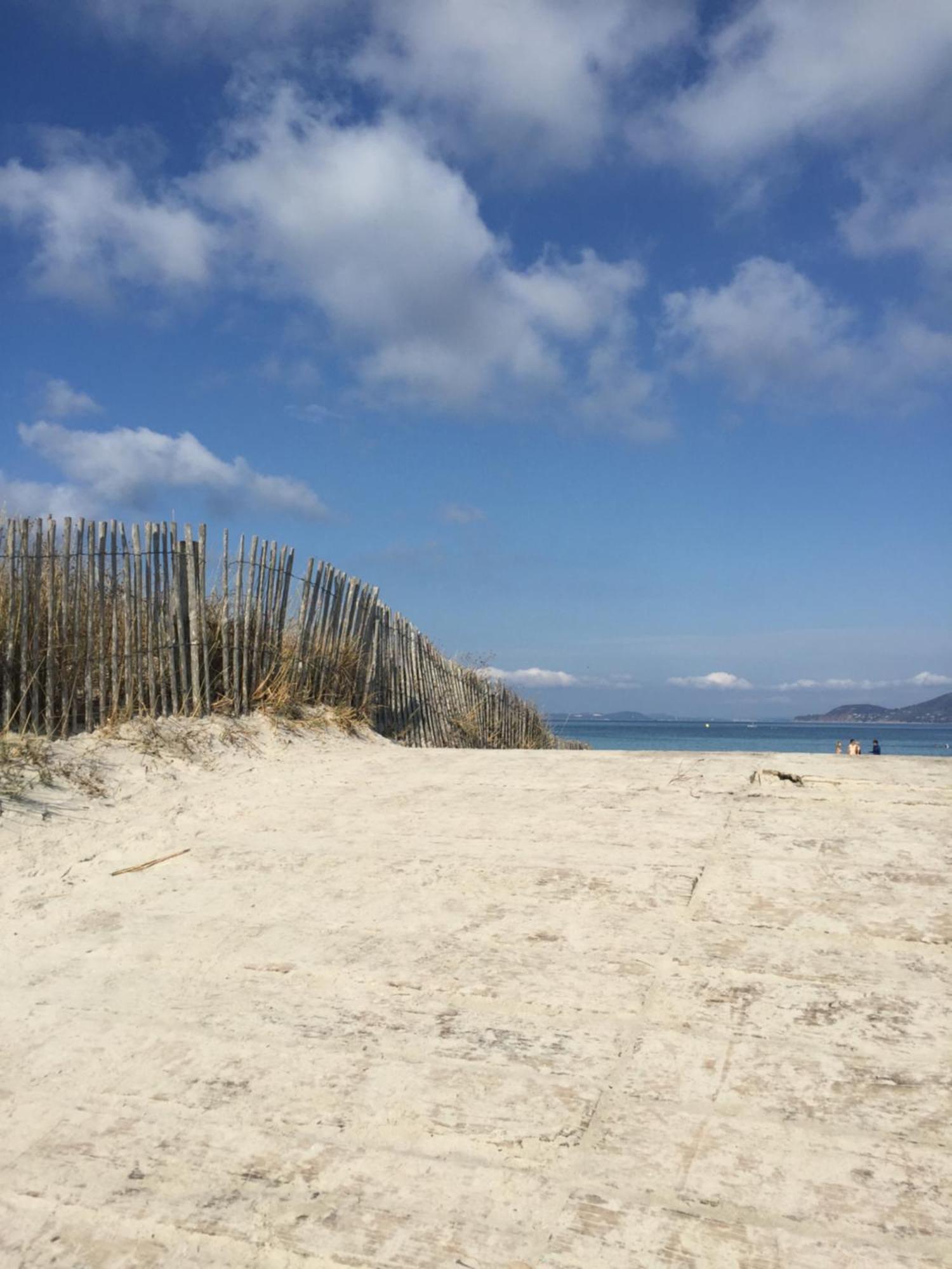 Appartement Les Cigales Rez De Jardin A 10Mn Des Plus Belles Plages Hyères Eksteriør billede